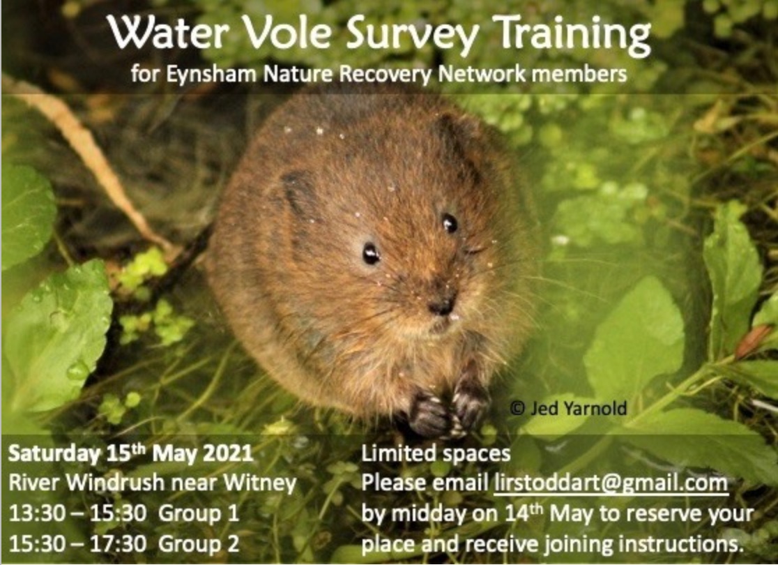 Water Vole Survey Training