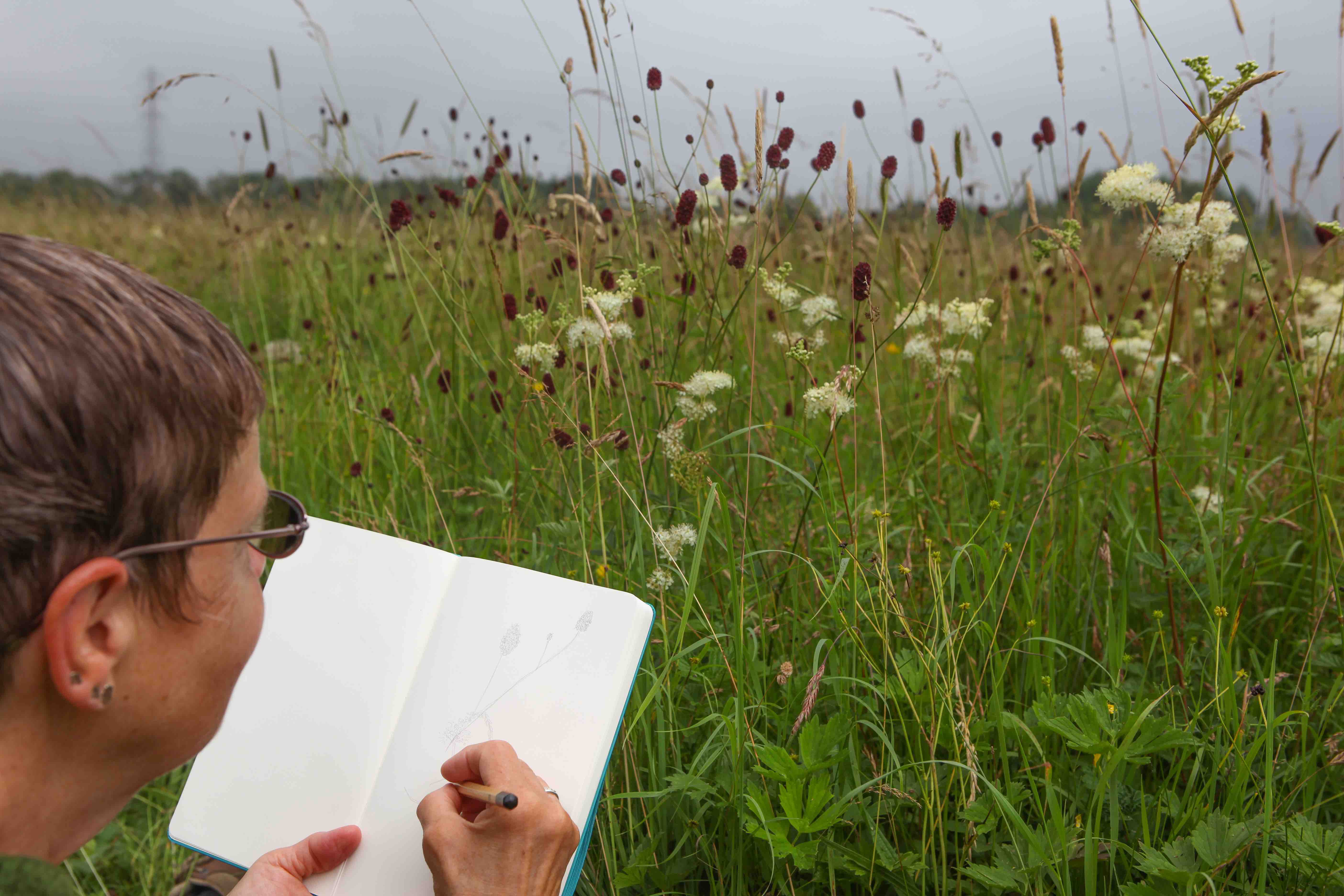 Art in the Meadow  - Open to all abilities – Art Competition!