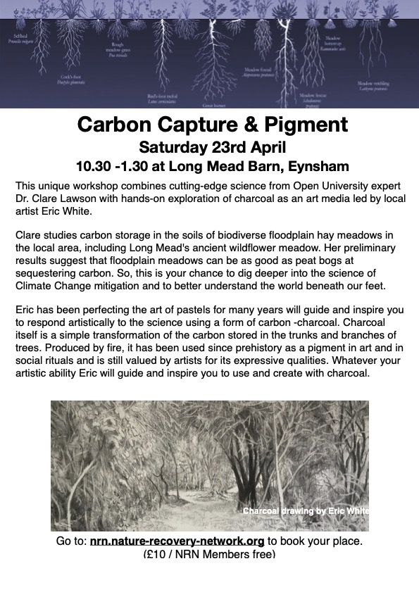Carbon Capture & Pigment