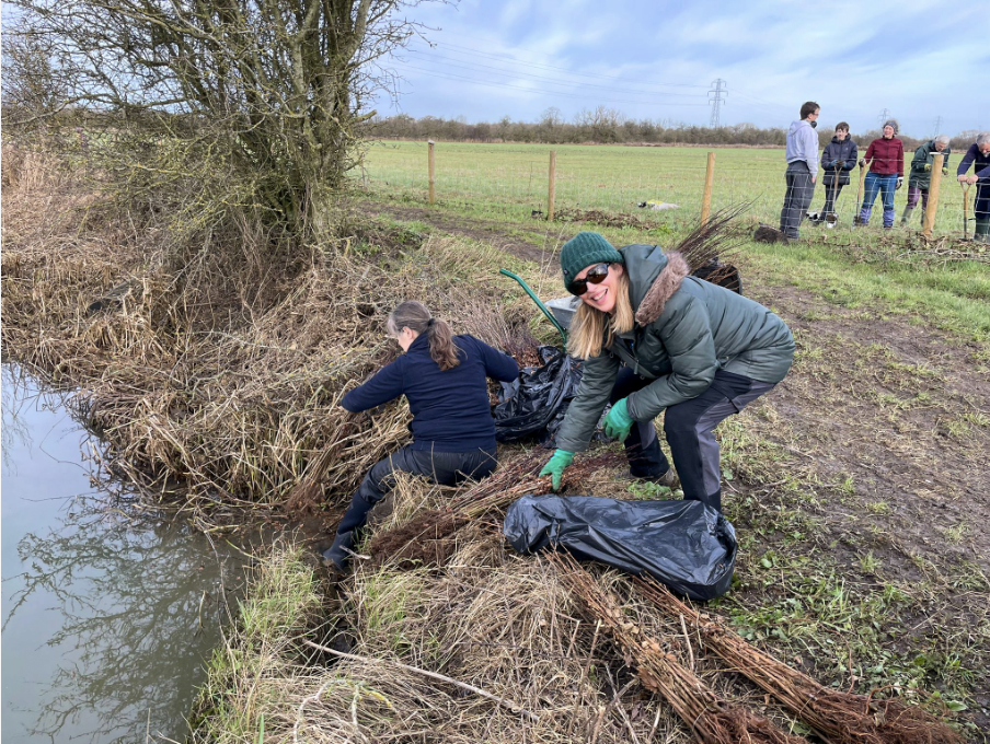 CANCELLED - FLOODS!! A Hedge in Time - a kilometre of 'linear forest to plant'!