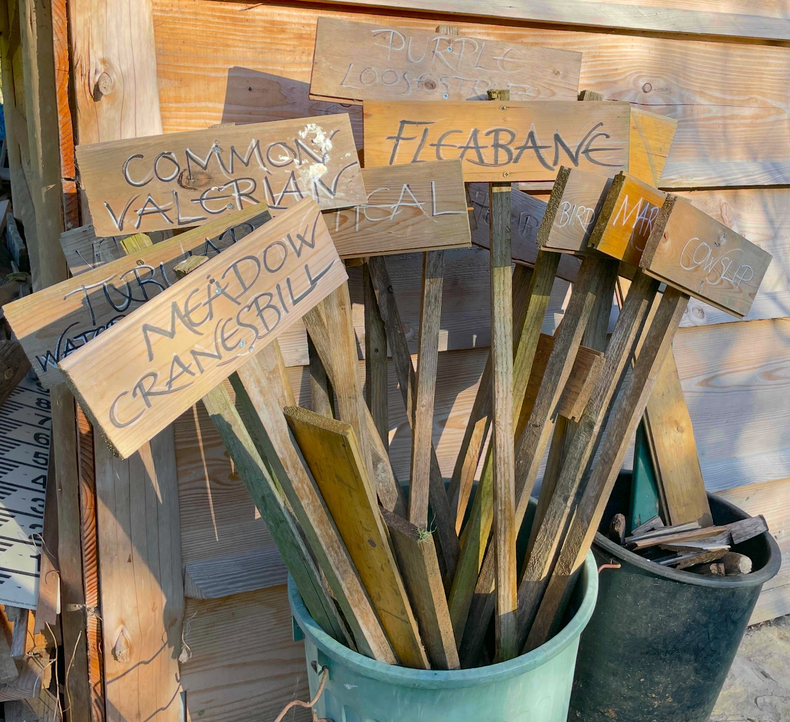 Meadow Restoration & Propagation Group - Every Monday & Wednesday