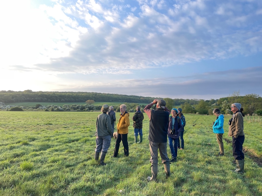 Dawn Chorus Walk 2026