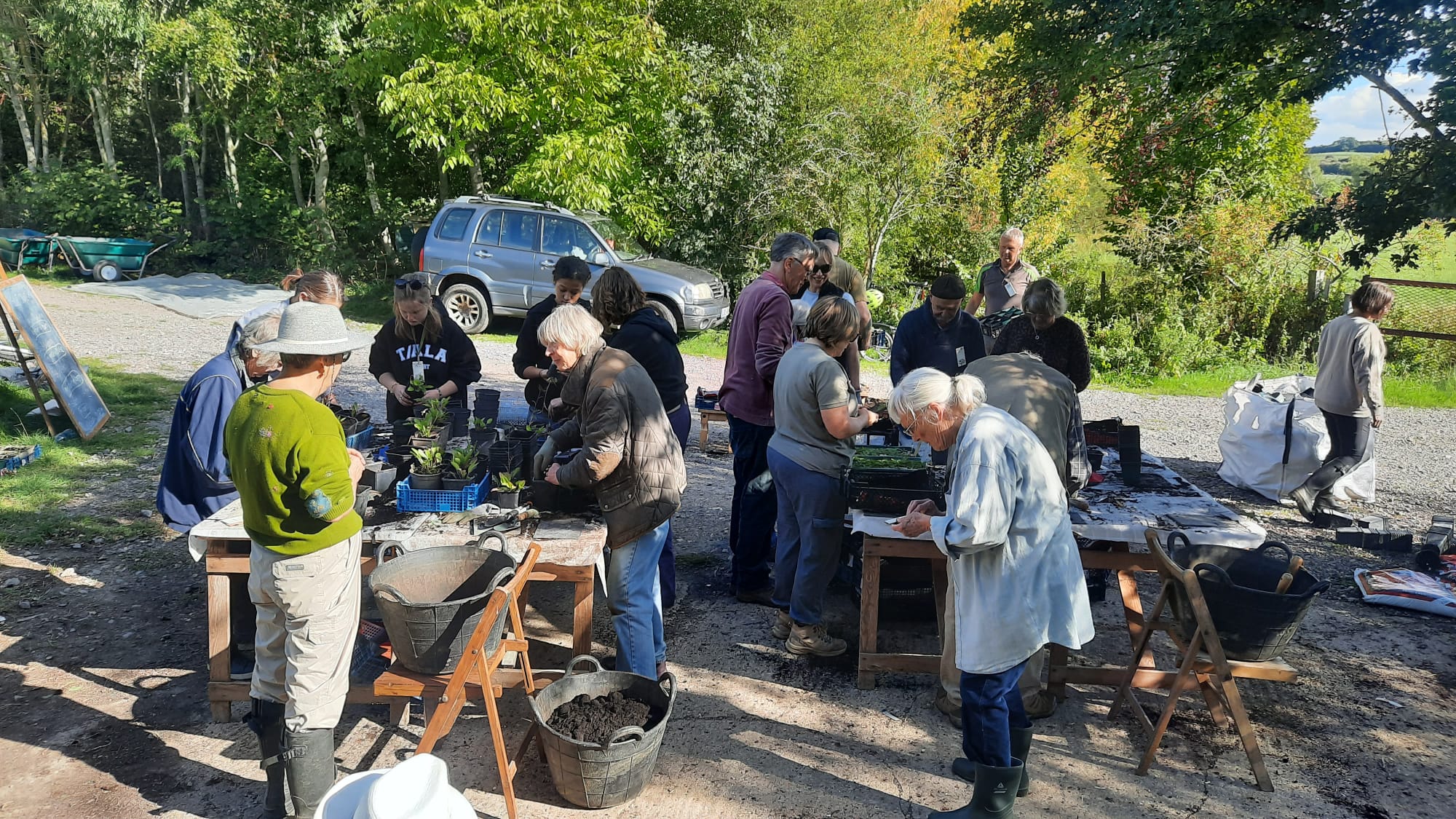 Community Meadow Restoration Day: Autumn
