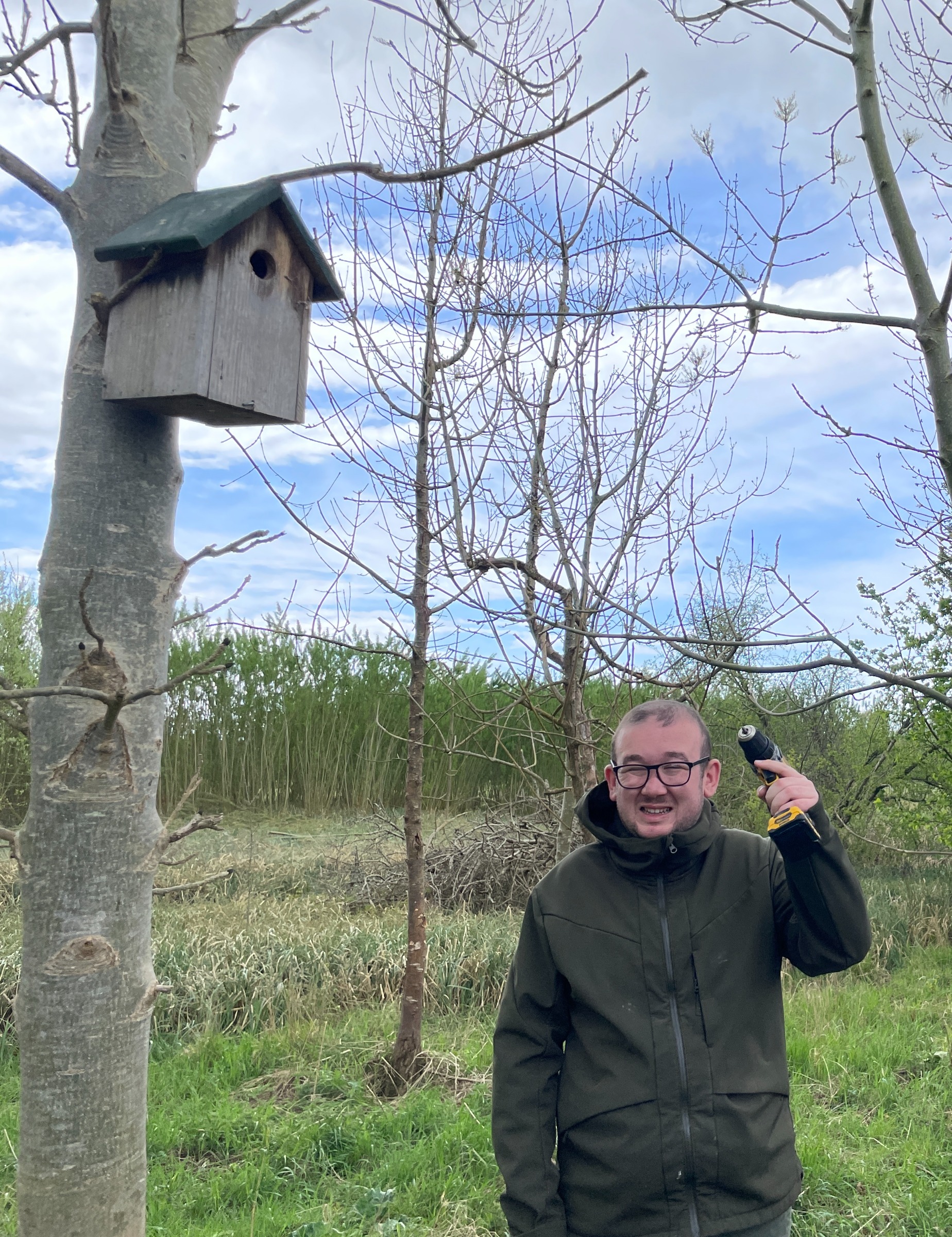 putting up bird boxes