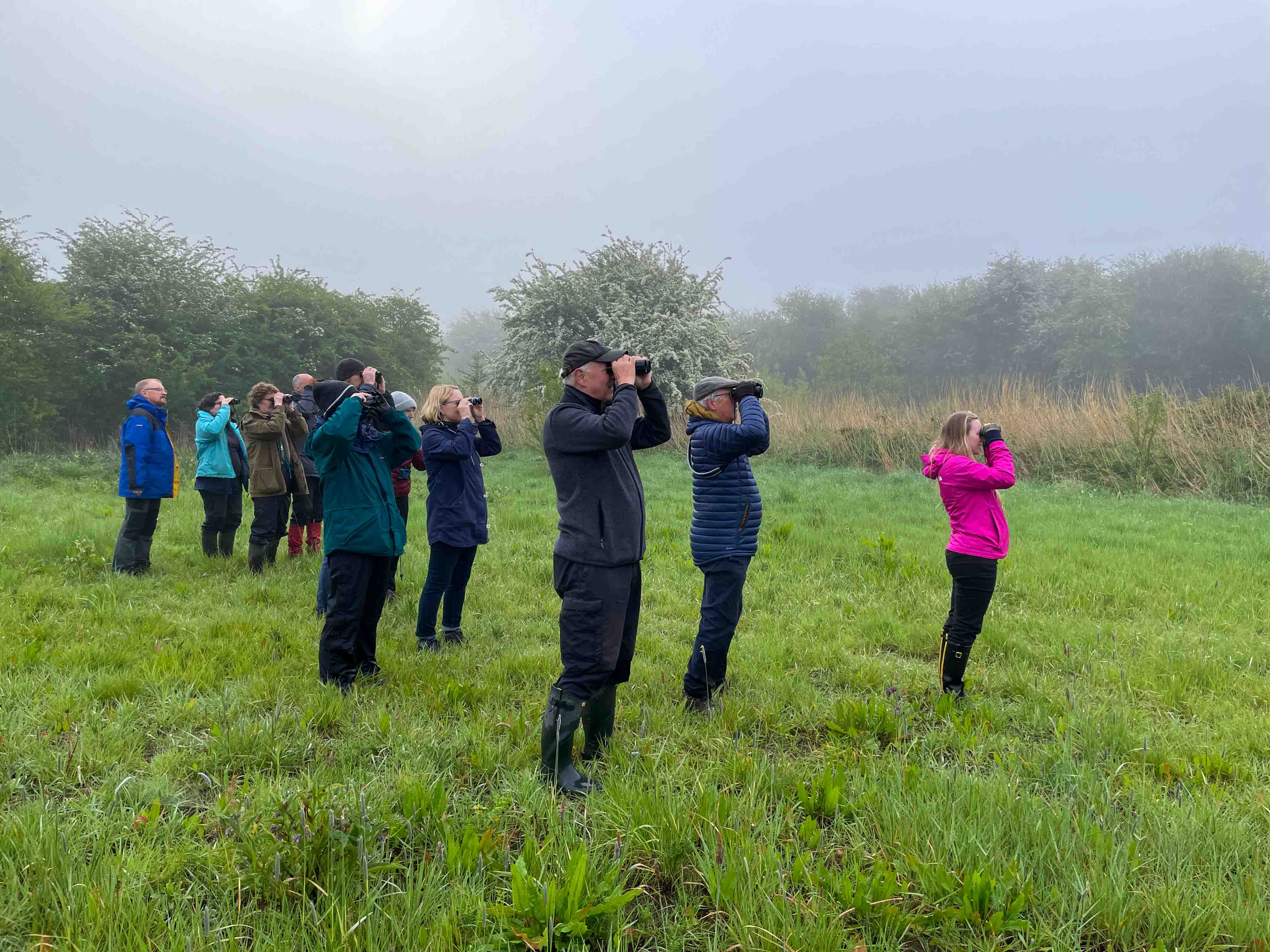 Dawn Choristers