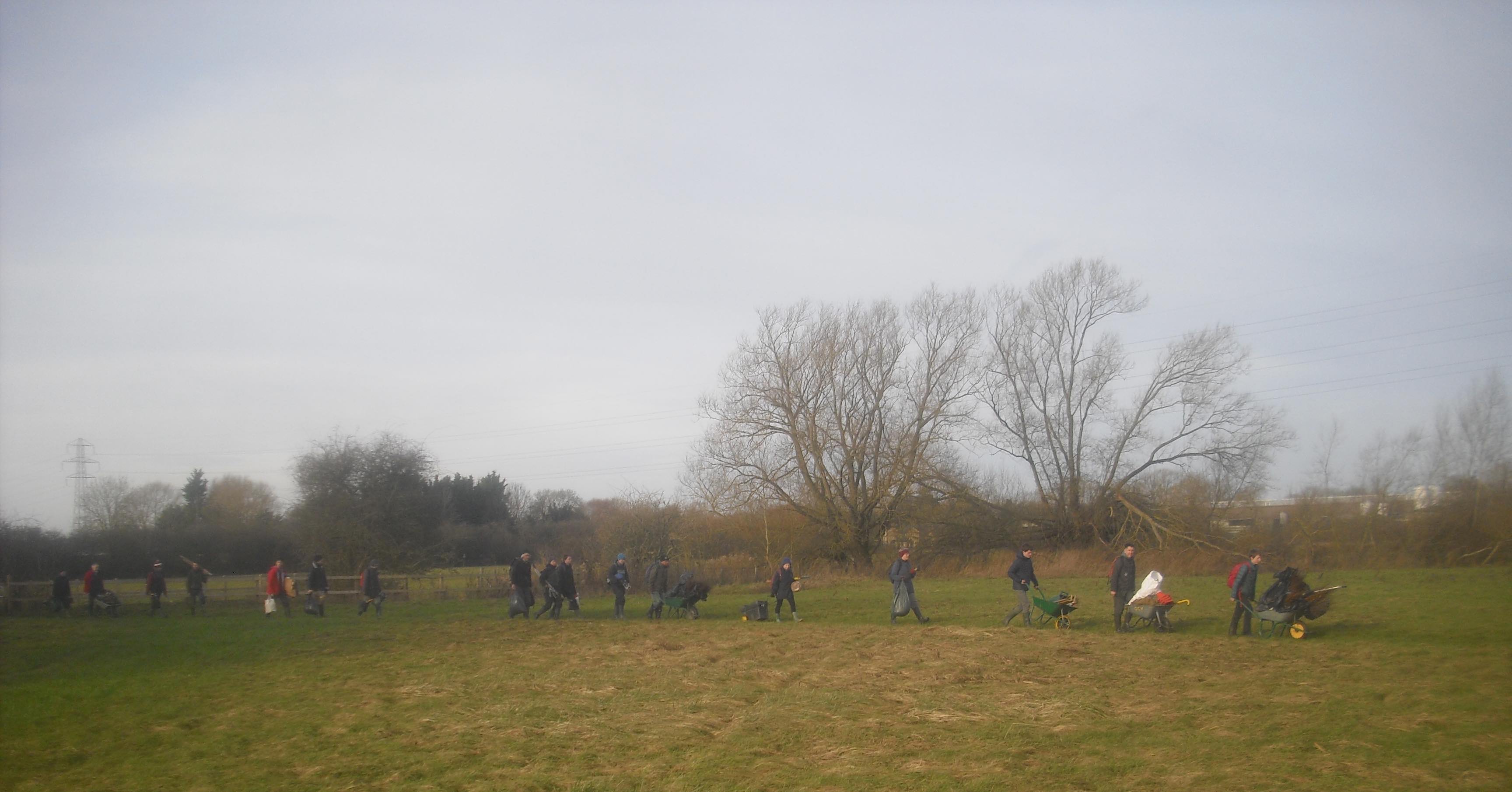 'Early one morning, just as the sun was rising' - we went to plant a hedge