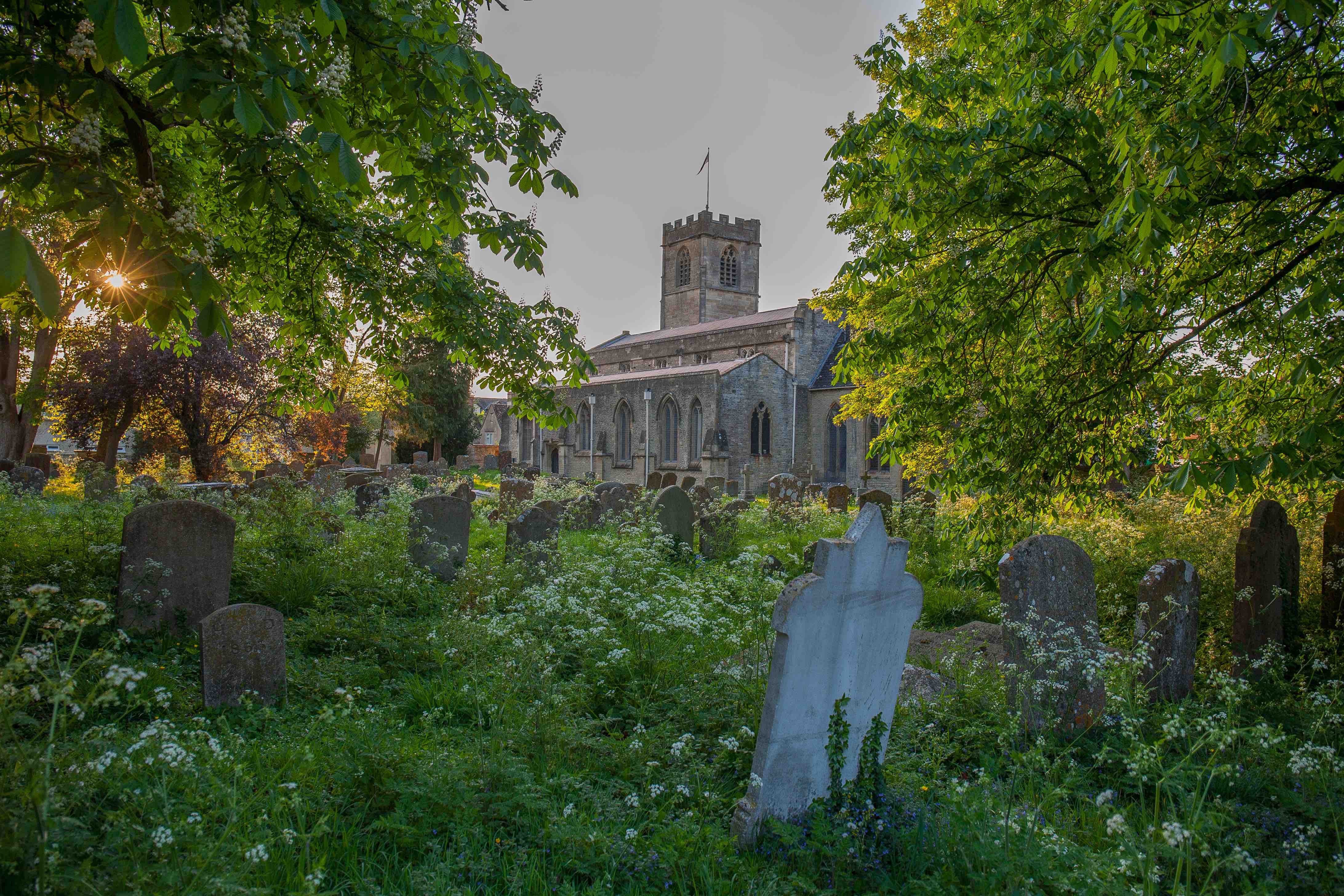 St Leonards