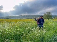 Bird Surveys