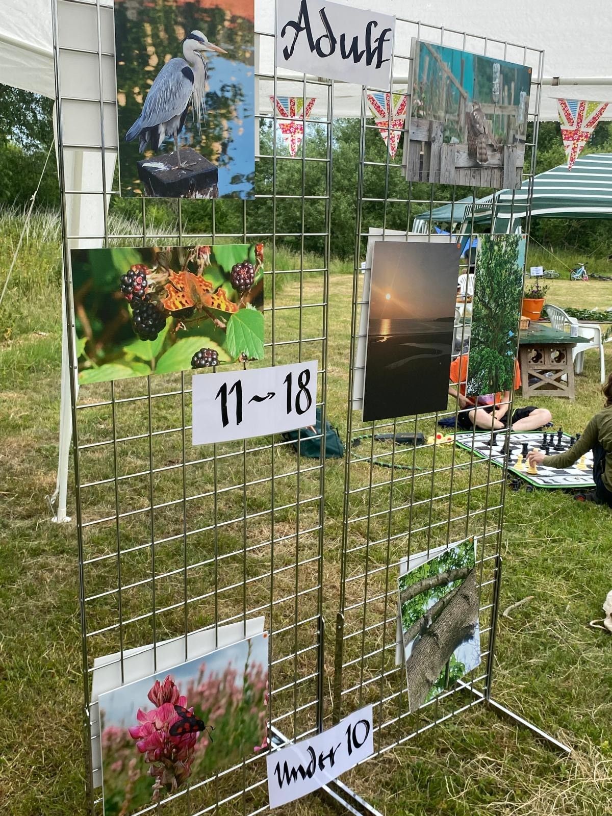 The Big Midsummer Nature Celebration