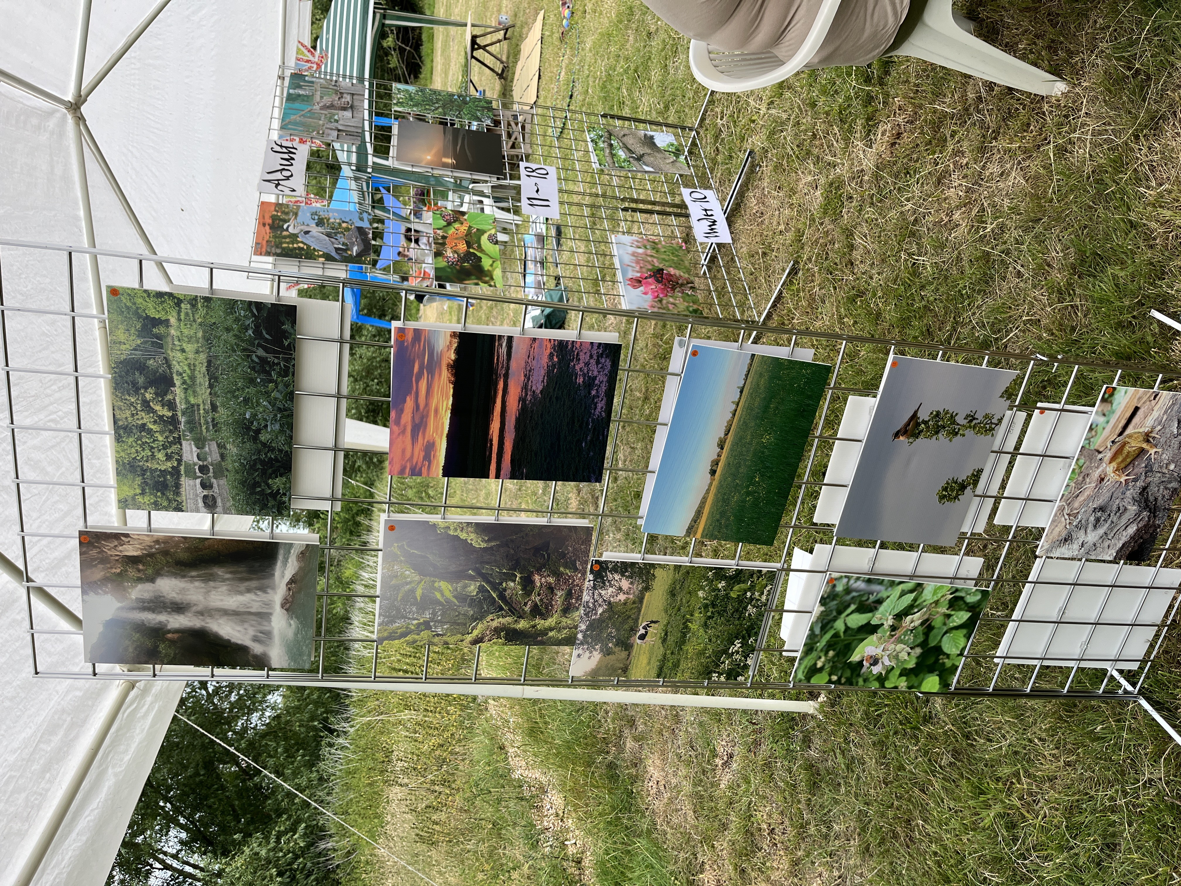 The Big Midsummer Nature Celebration