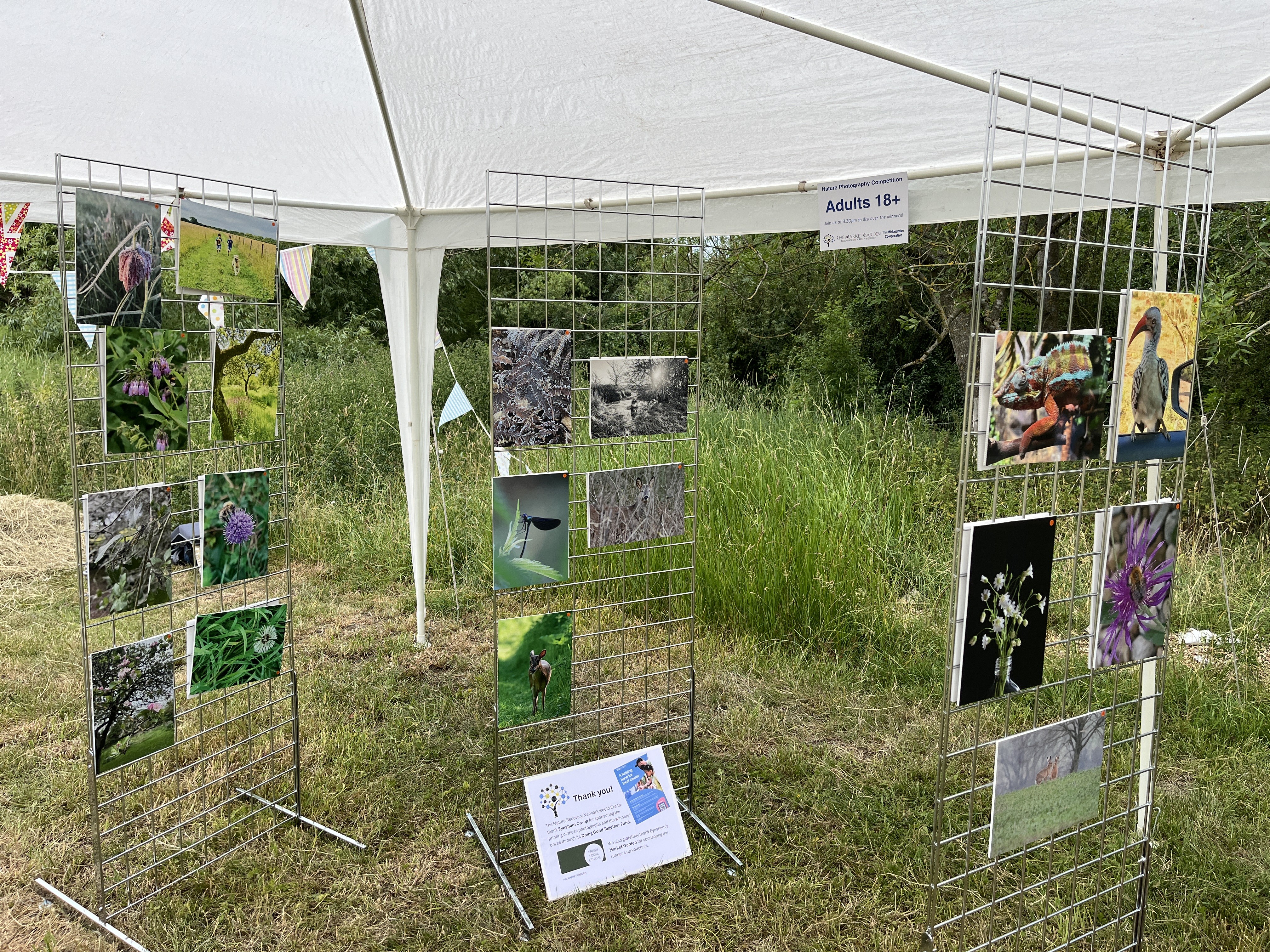 The Big Midsummer Nature Celebration