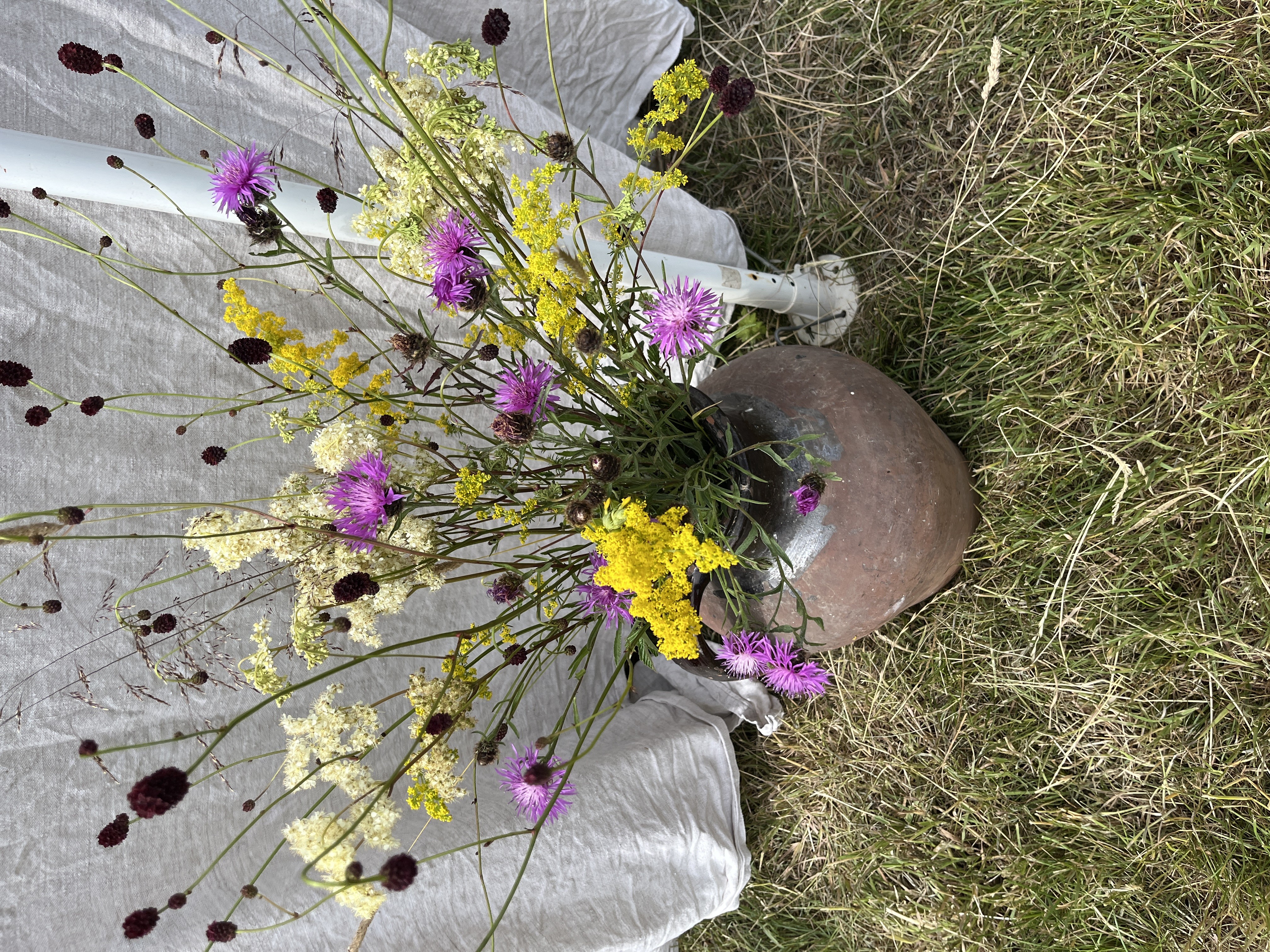 The Big Midsummer Nature Celebration