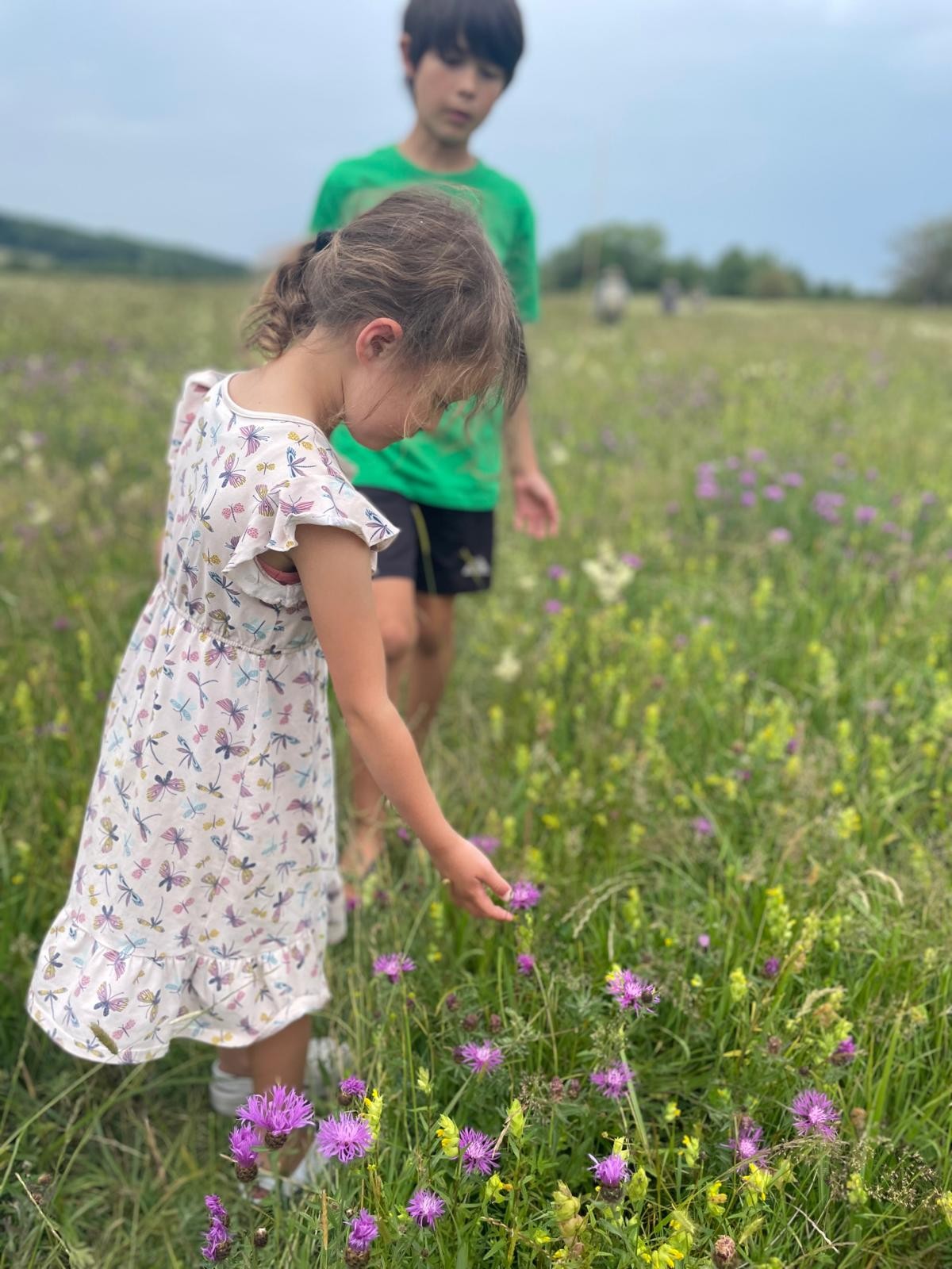 21st June Meadow Walk