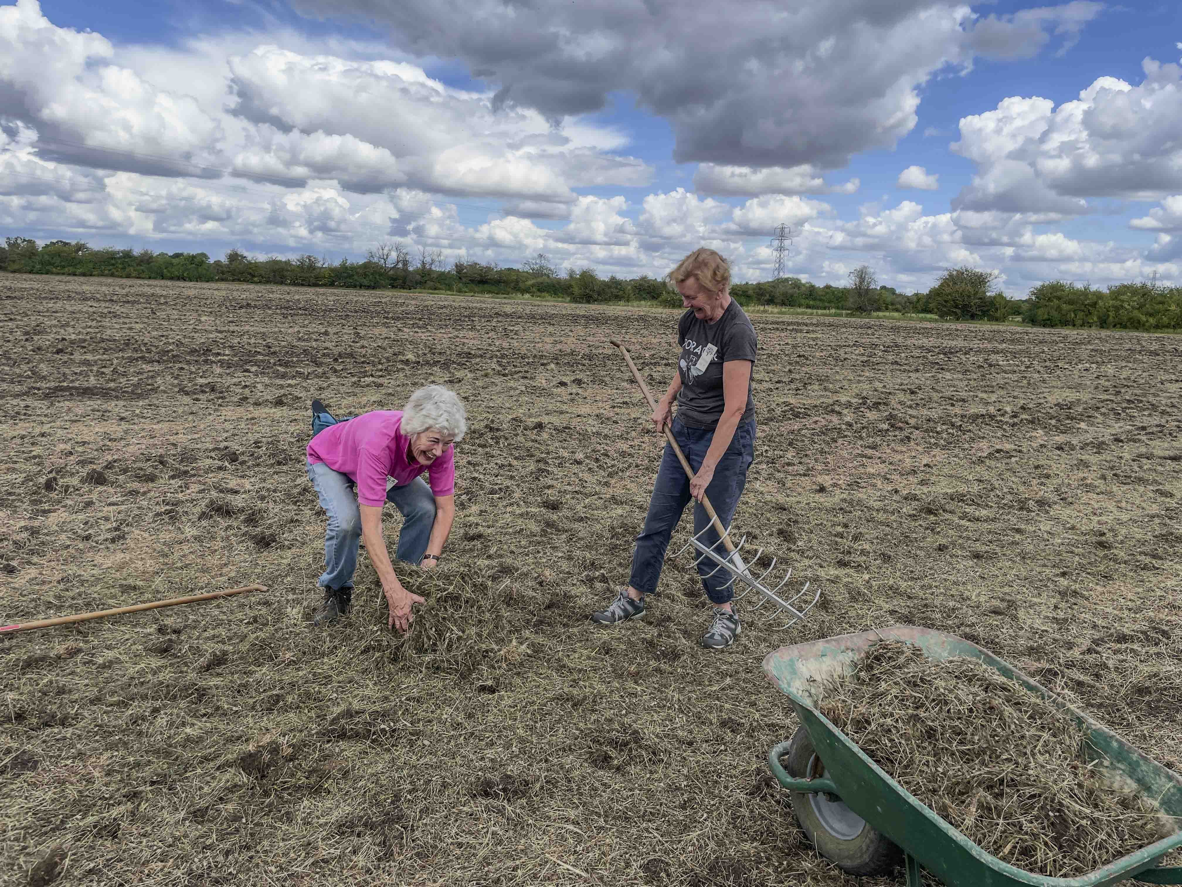34Spreading green hay into gaps-9616