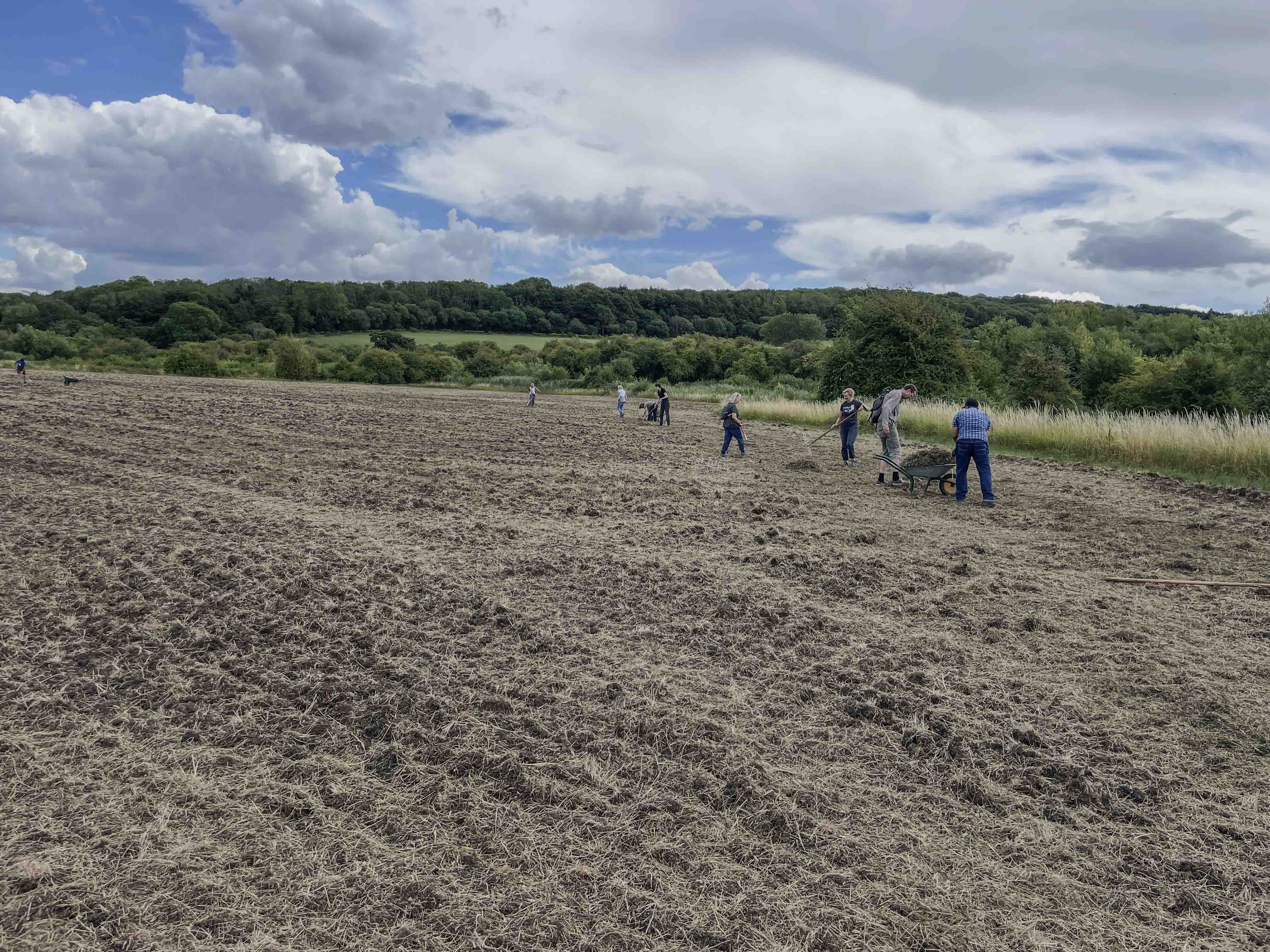 37Spreading green hay into gaps-9626