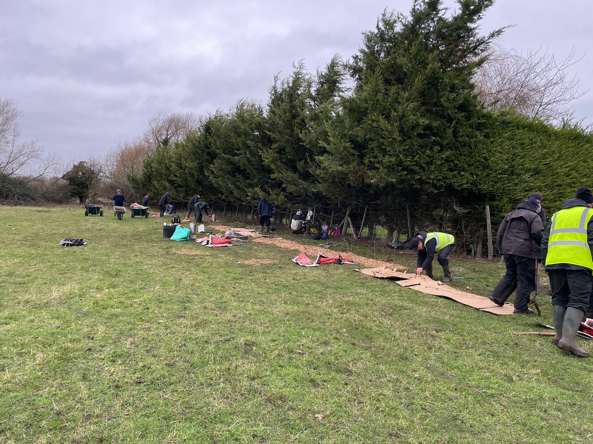 Hedge Planting on Swinford Meadows Jan26 - Catriona Bass 2
