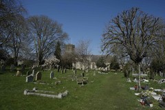 chuirchyard_trees_DSC5973