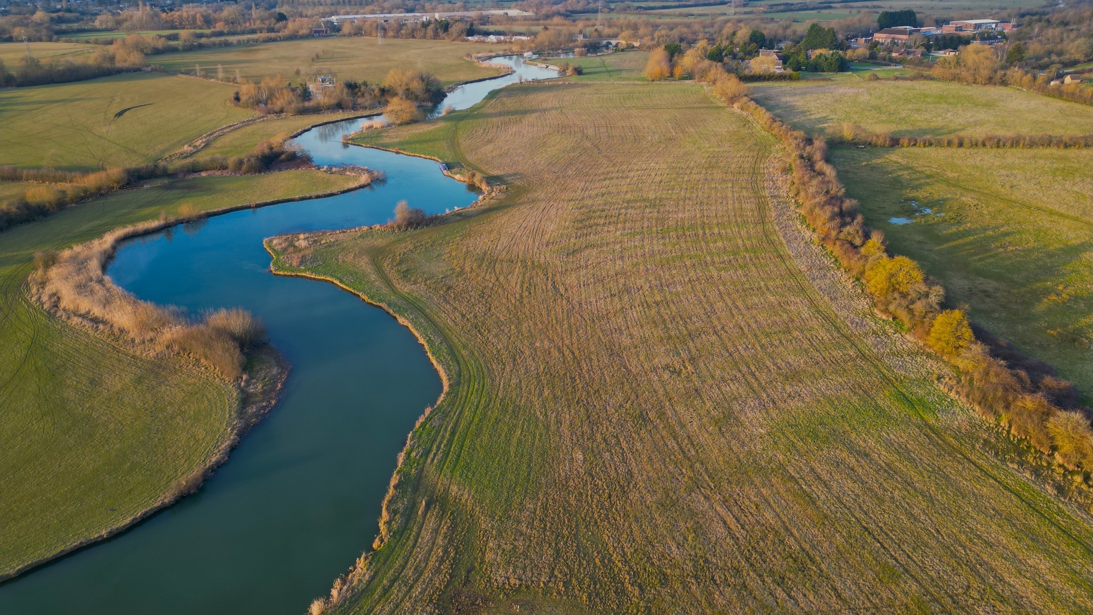 Swinford Ancient Meadow