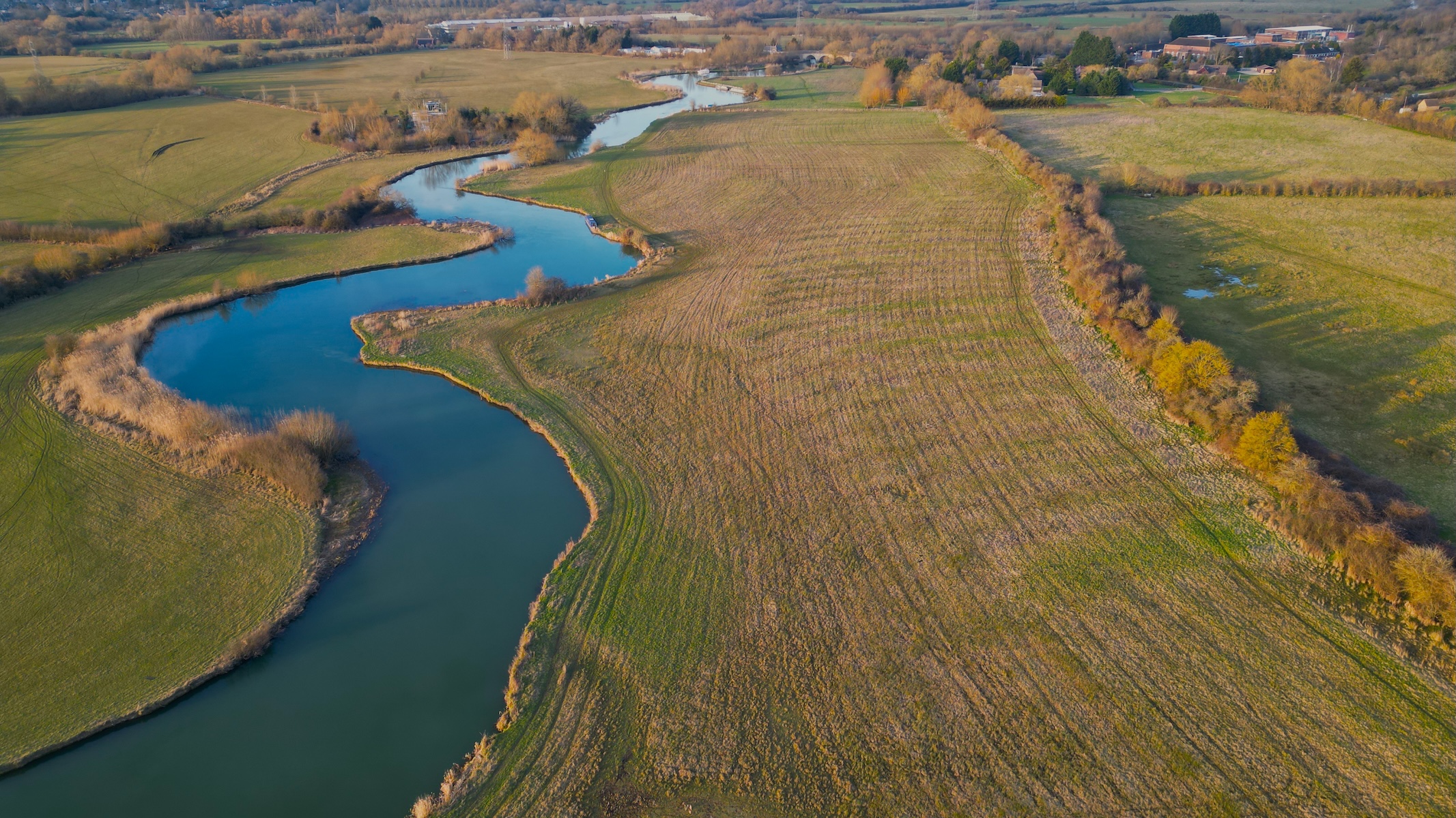 Swinford Ancient Meadow