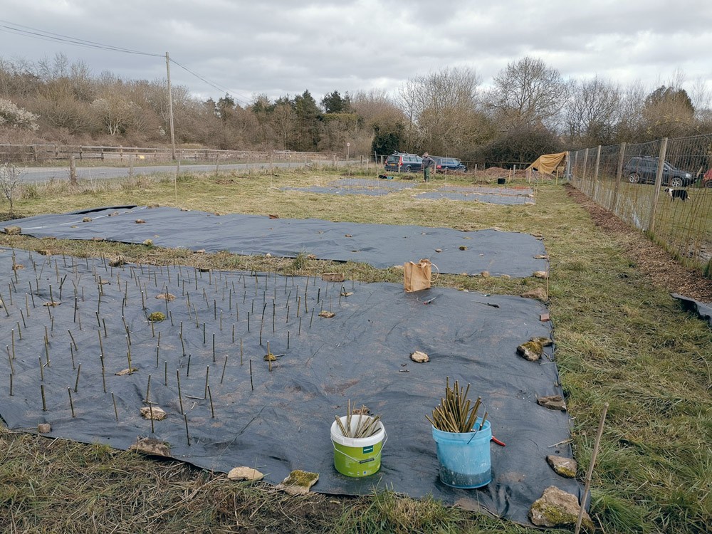 wood farm march planting 2020