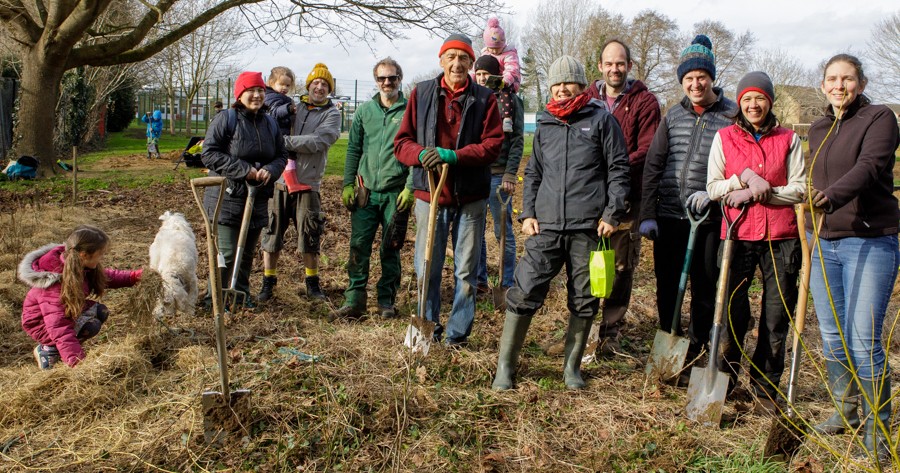 Primary School hedge-planting-6467