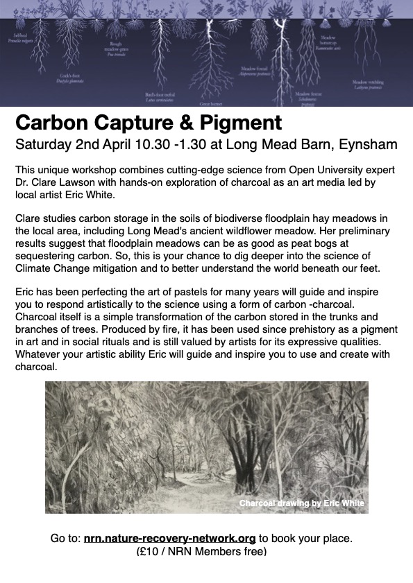 Carbon Capture and Pigment Leaflet-1