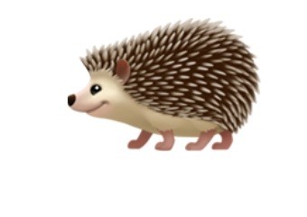 Hedgehog_image